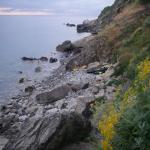 2009-06-01_05-45-50_Maurilio