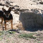 a guardia del poeta