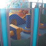 67101743-DSCF4428