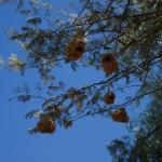2007-08-25_13-29-30_[Fiamma]