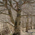 2011-04-02_15-27-21_Matteo