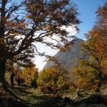2005-10-15_15-11-10 [Matteo]