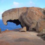 acquila_ questa e' una remarkable rock di kangaro island, qui c'e' talemente tanto vento che rischi di vlre via se non stai atte