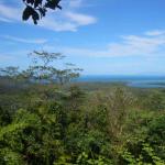 cape tribulation_a quanto pare i guai sono cominciati qui per Cook