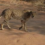 2007-09-05_17-02-33_[Fiamma]