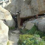 PIC01738