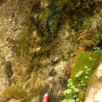 2011-04-24_16-15-21_Matteo