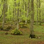 2011-04-25_12-33-25_Matteo