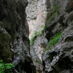 2008-06-02_11-36-37_Matteo